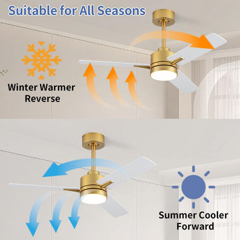 LANMEL 6-speed settings tailor airflow to your room.