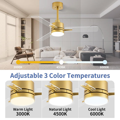 LANMEL DC motor ceiling fan runs quietly for calm spaces.