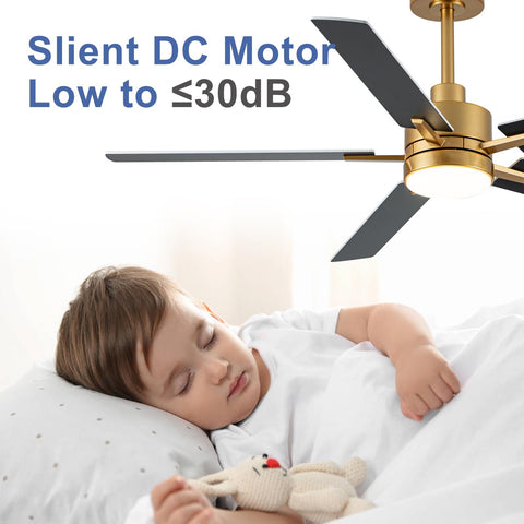 LANMEL low-profile ceiling fan fits compact ceilings without crowding space