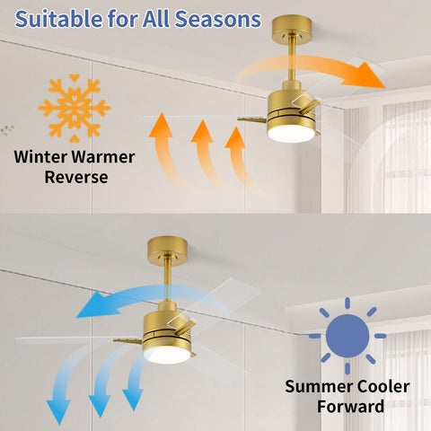 LANMEL six-speed fan with light for customizable comfort.