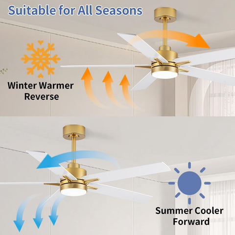 LANMEL 52-inch ceiling fan with six speeds for flexible cooling