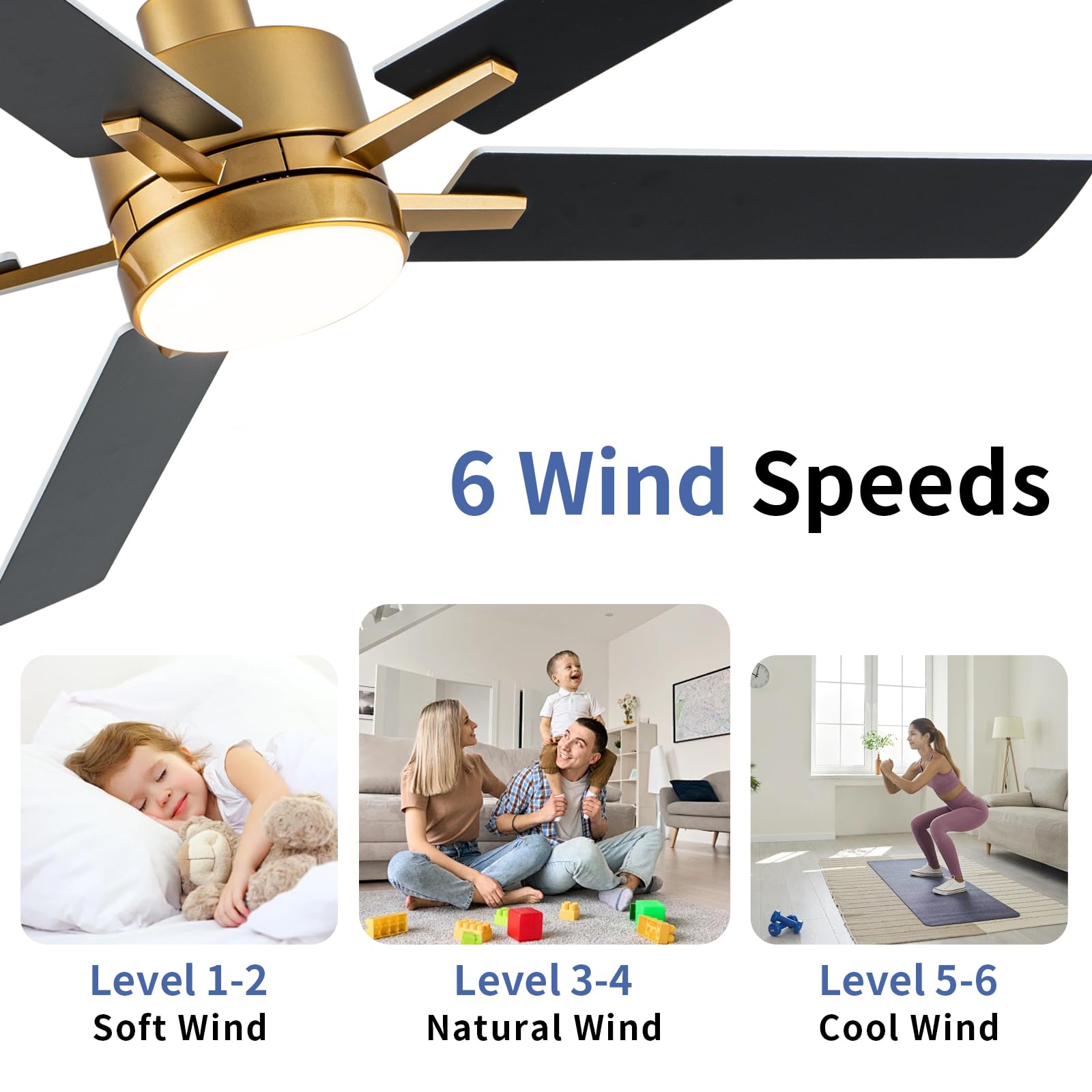 LANMEL adjustable warm to cool light temperatures create ambience