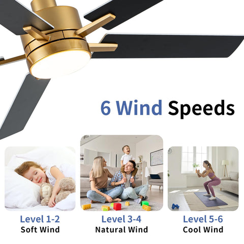 LANMEL adjustable warm to cool light temperatures create ambience