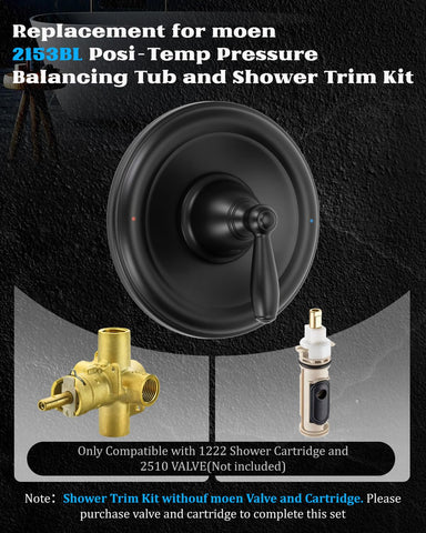 Lanmun Brantford matte black trim with high-pressure shower head.