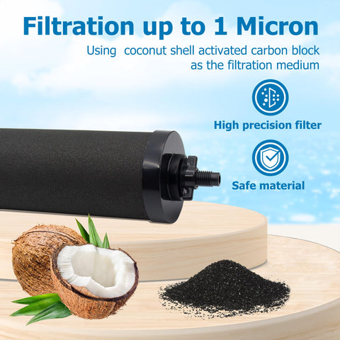 Larayci BB9-2 filter assembly ready for quick setup