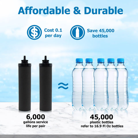Larayci cost-effective filter value showcases strong performance at an affordable price.