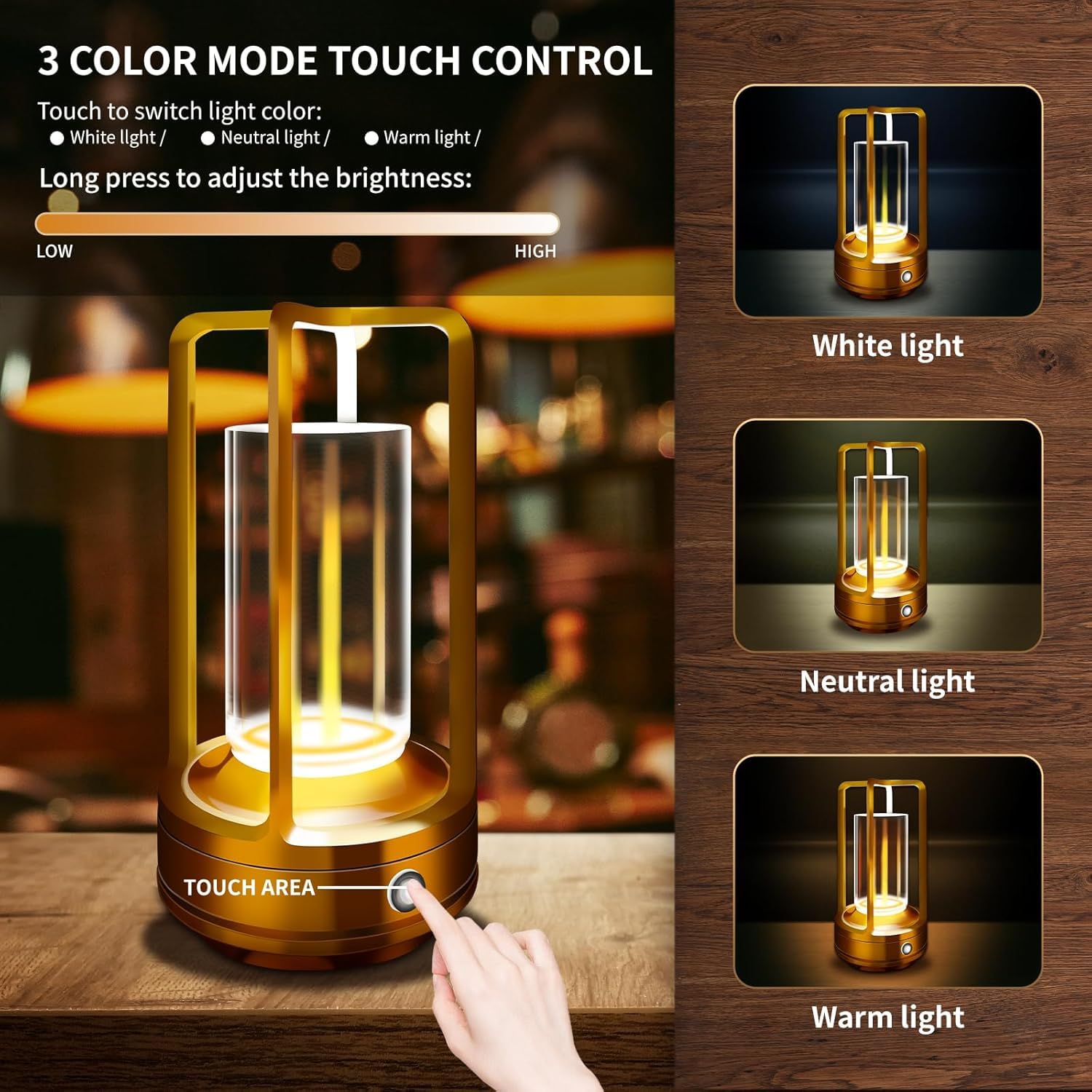 LAYSHINEEN LED rechargeable lamp close-up highlighting USB-C charging