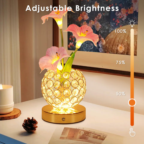 Lazzgan Wireless USB Rechargeable Lamp eliminates cords for easy placement