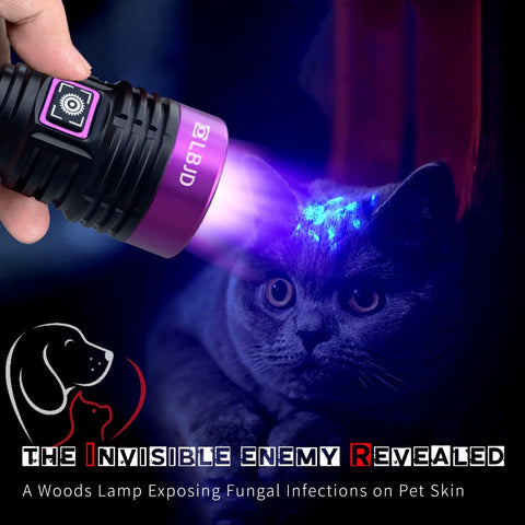 LBJD Blacklight UV Flashlight rugged anodized body for outdoor use.