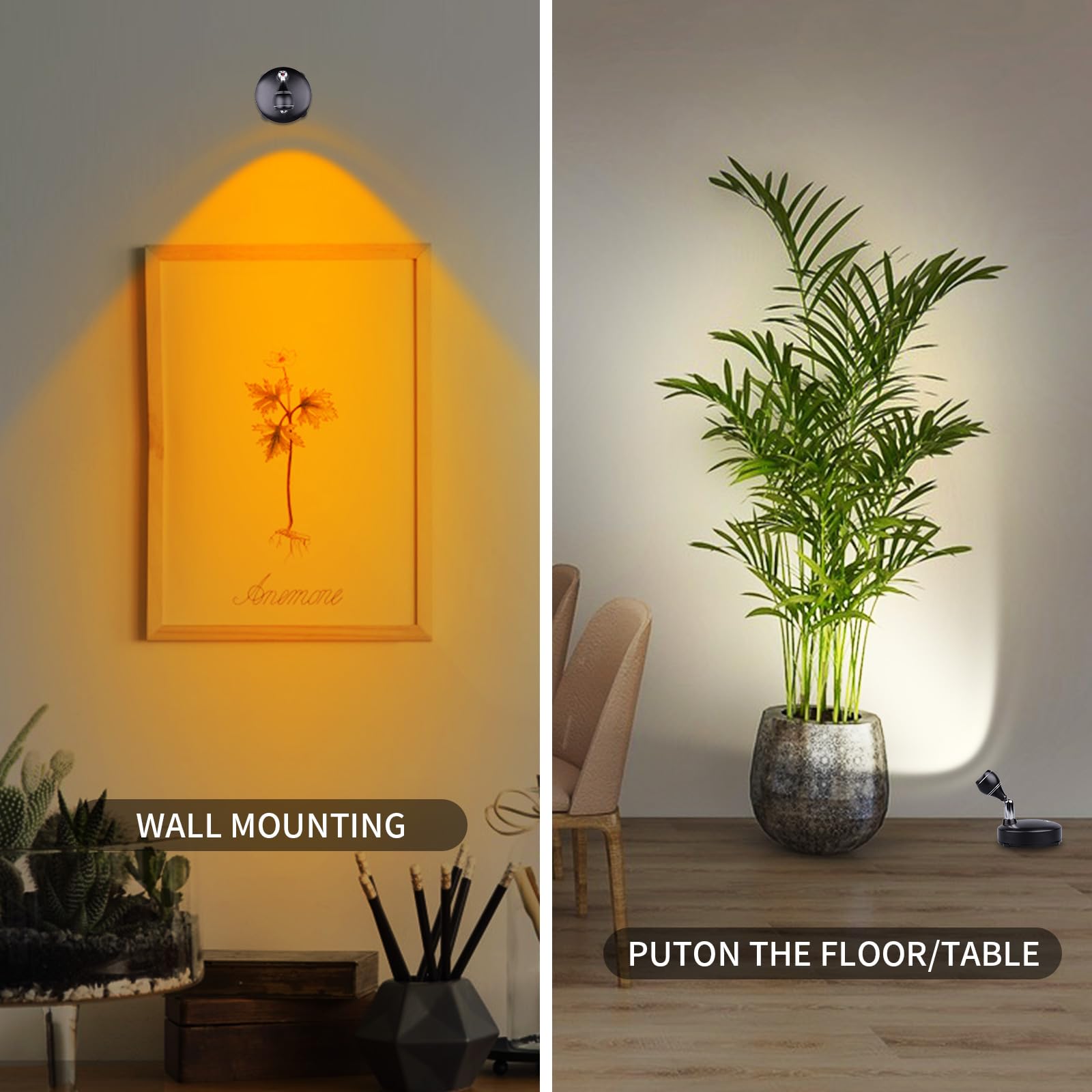 LEASTYLE white 6000K and RGB color options enhance festive and artwork displays