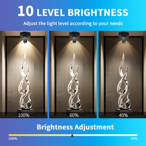LEASTYLE Spotlight timer function helps conserve energy.