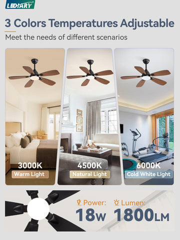 LEDIARY fan with 3CCT and 6 speeds for customizable ambience