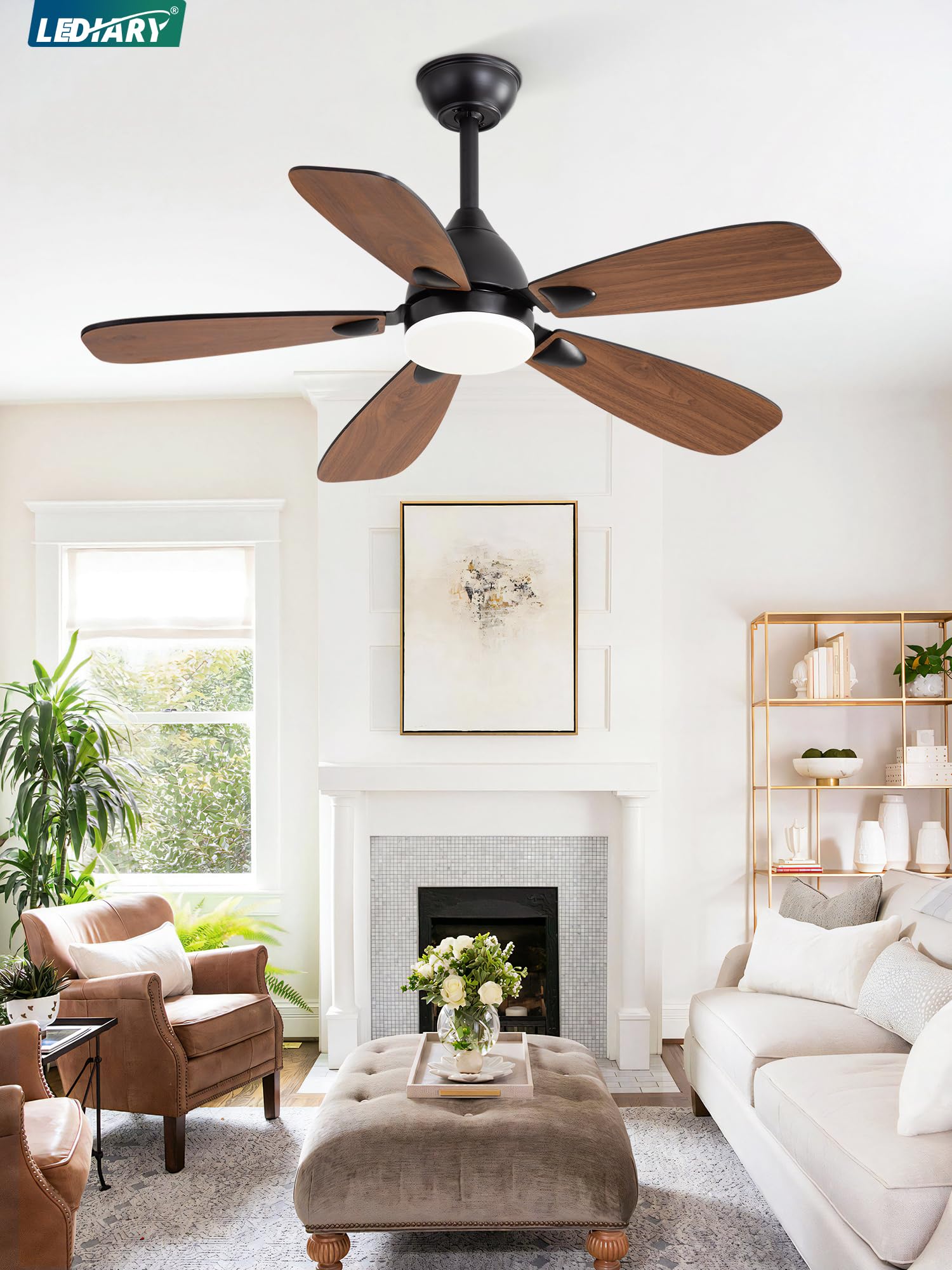 LEDIARY indoor/outdoor ceiling fan ideal for patios and rooms