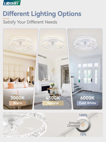 LEDIARY dimmable LED light 3000K-6000K for customizable ambience.