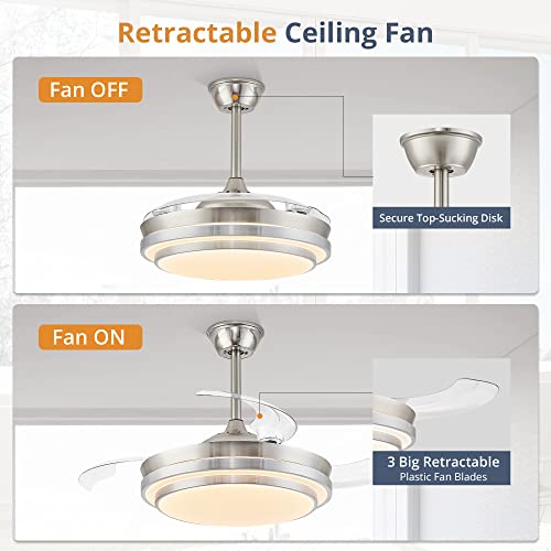 LEDIARY smart ceiling fan with color temperature adjustable LED lighting