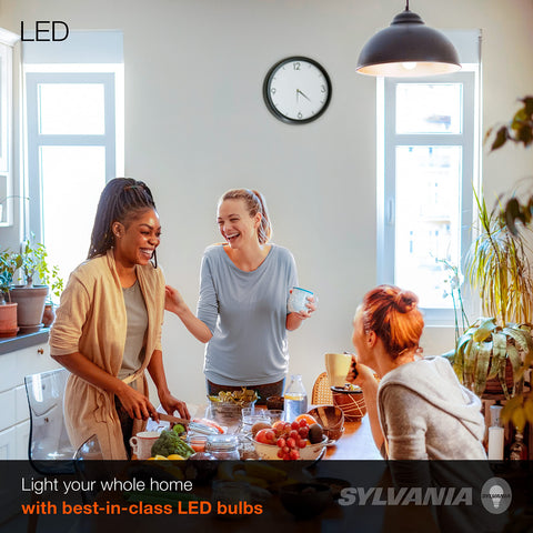 LEDVANCE Sylvania A19 frosted finish offers soft diffuse lighting for living spaces.