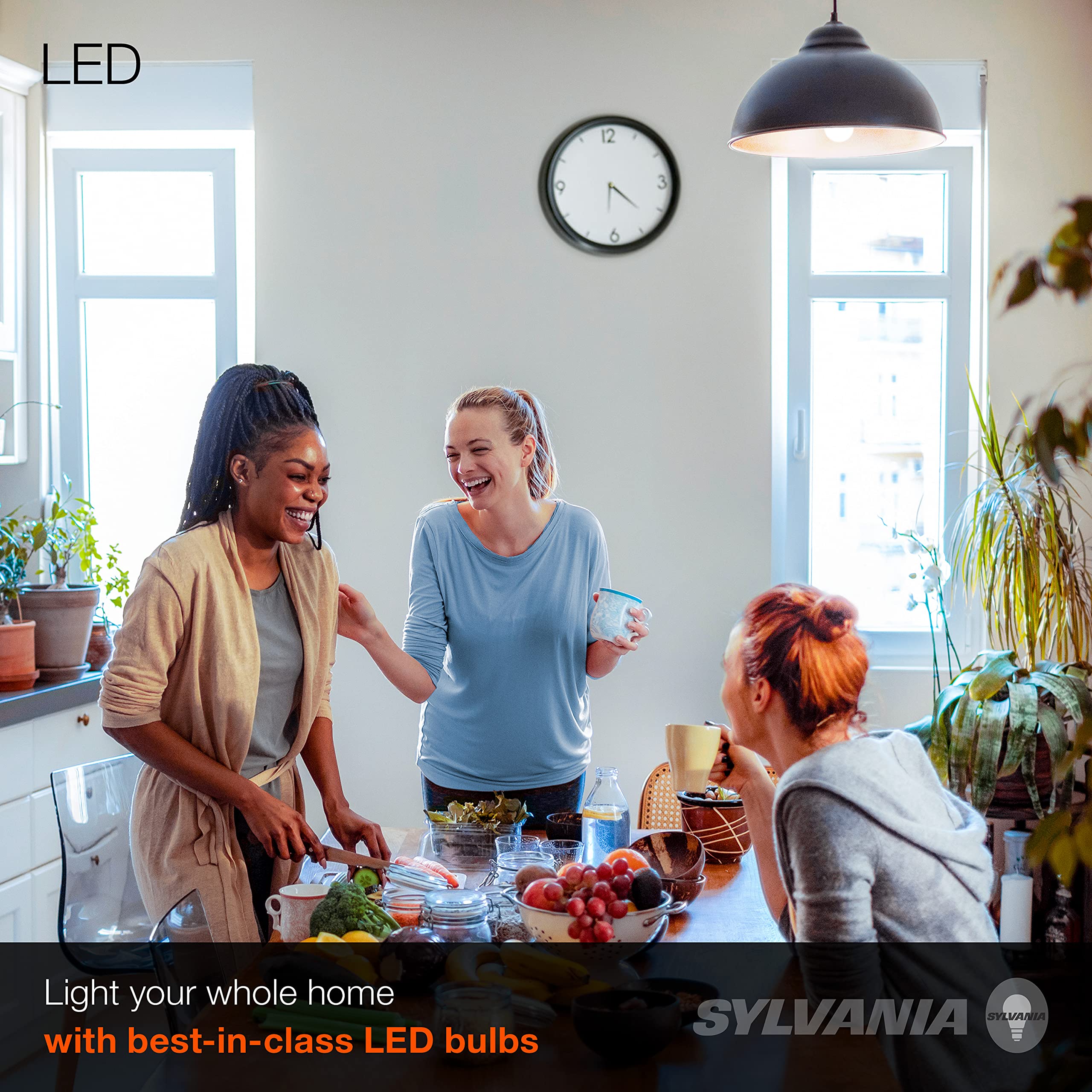 LEDVANCE Sylvania A19 daylight bulb long life up to 11,000 hours