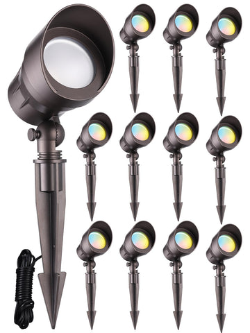 LEONLITE landscape spotlight with 45-degree beam highlights home exterior.