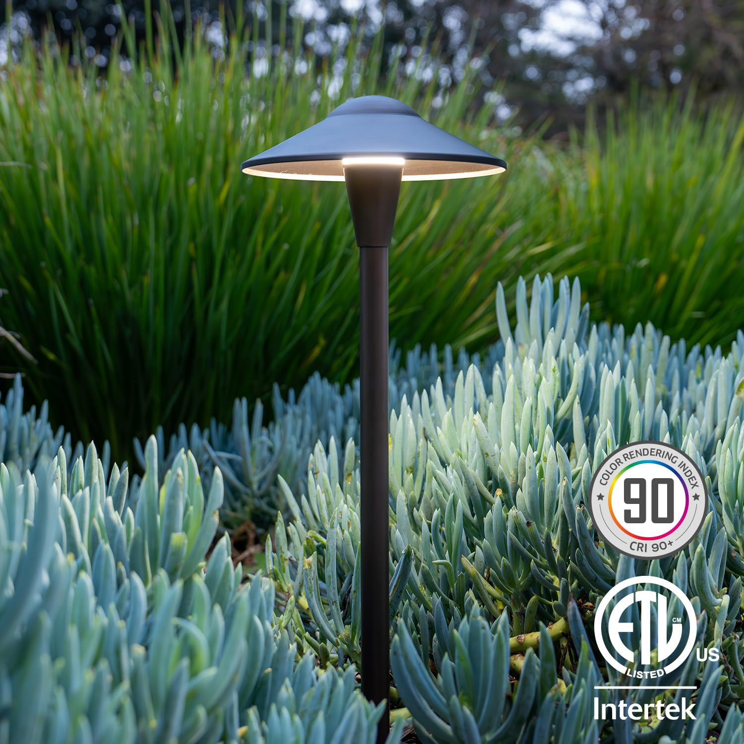 LEONLITE high CRI90 garden path light reveals true color on paths.