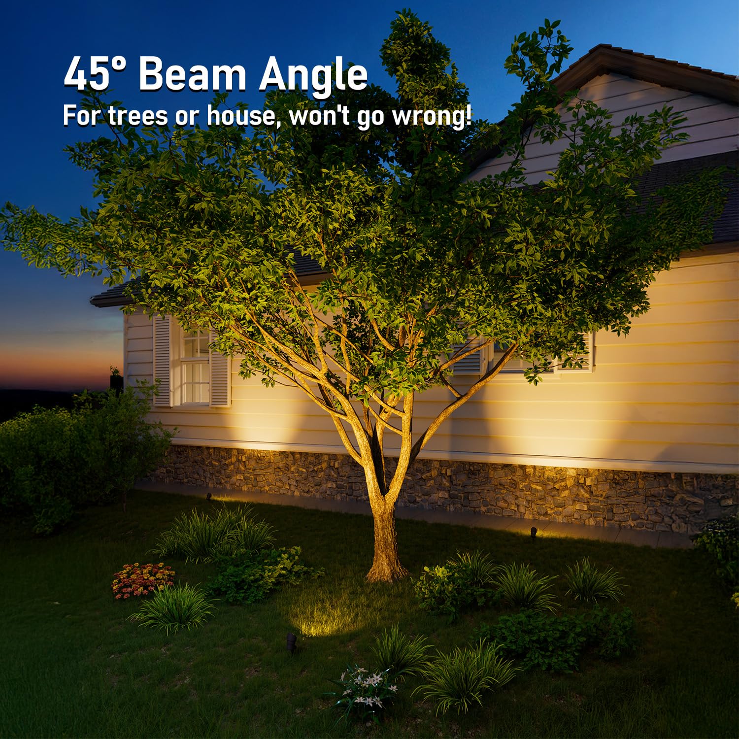 LEONLITE landscape spotlight with 45-degree beam to highlight architectural features.