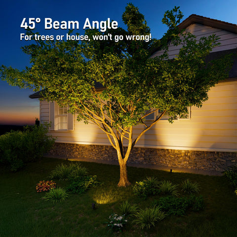 LEONLITE landscape spotlight with 45-degree beam to highlight architectural features.