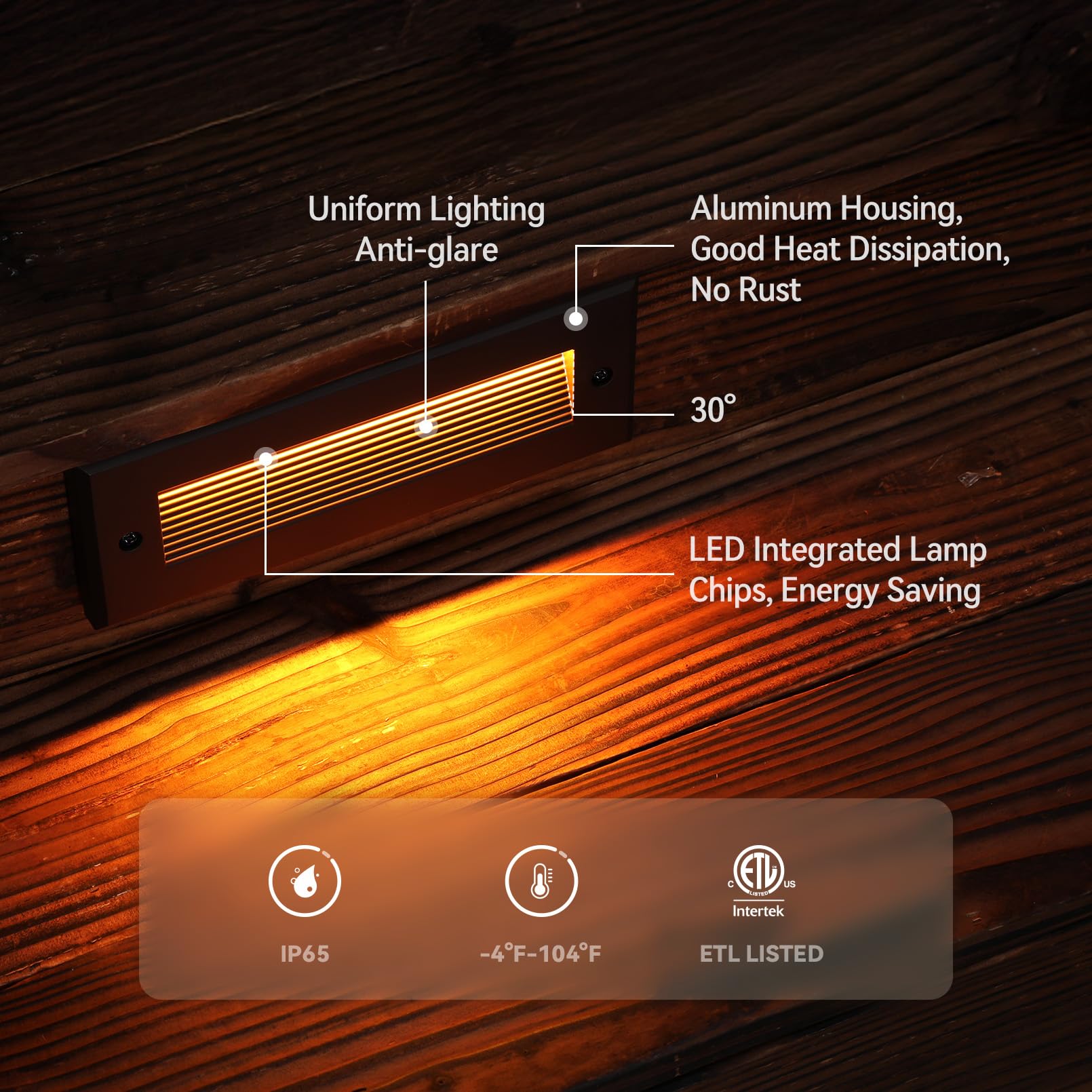 LEONLITE bronze IP65 outdoor step light ready for weatherproof use