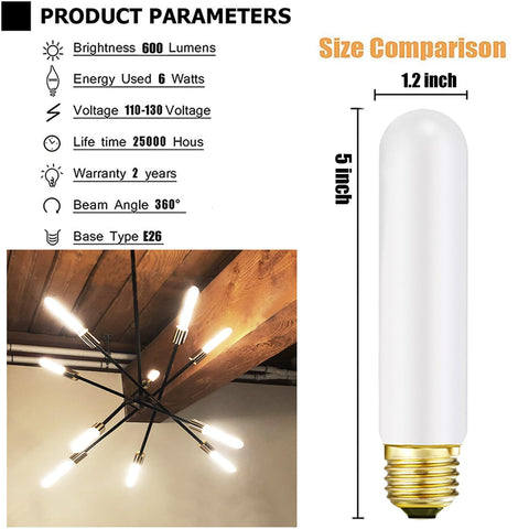 Leools T10 frosted bulb for indoor and sheltered outdoor decor