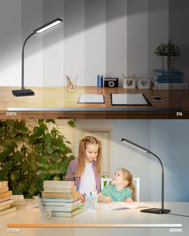 LEPOWER black finish adds modern touch to any workspace