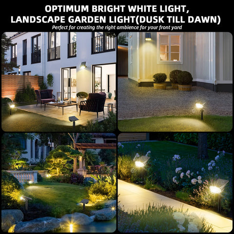 LEREKAM palm tree and pathway lighting enhances curb appeal with glow