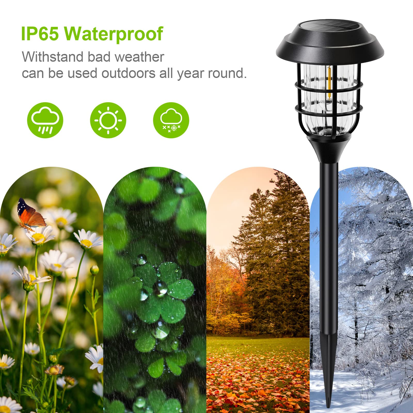 LETMY walkway night illumination brightens yards for safe evening strolls.