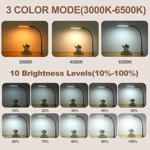LIBORA LED desk lamp with flexible gooseneck directing light precisely