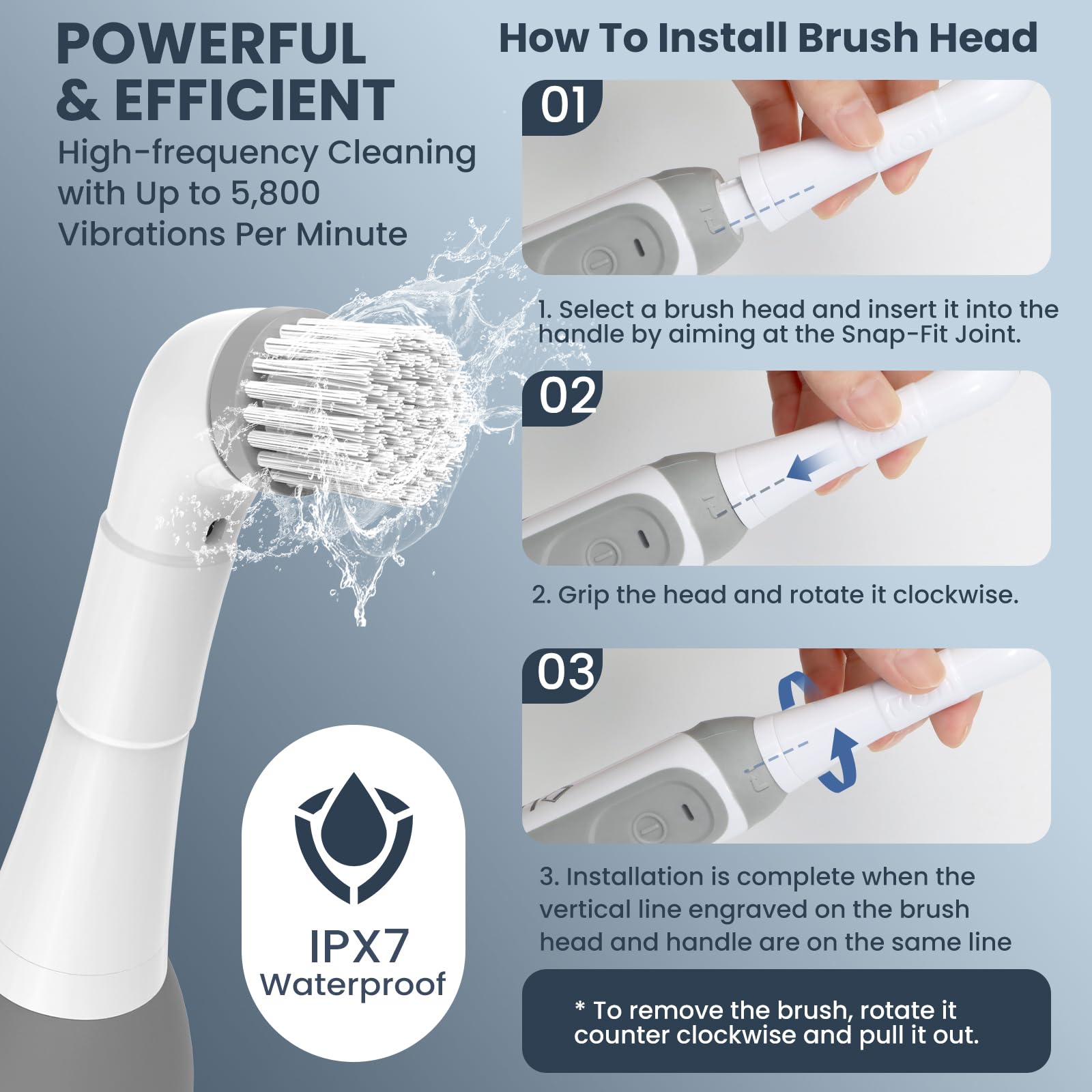 LifeBasis large brush head cleans wide surfaces quickly and evenly.