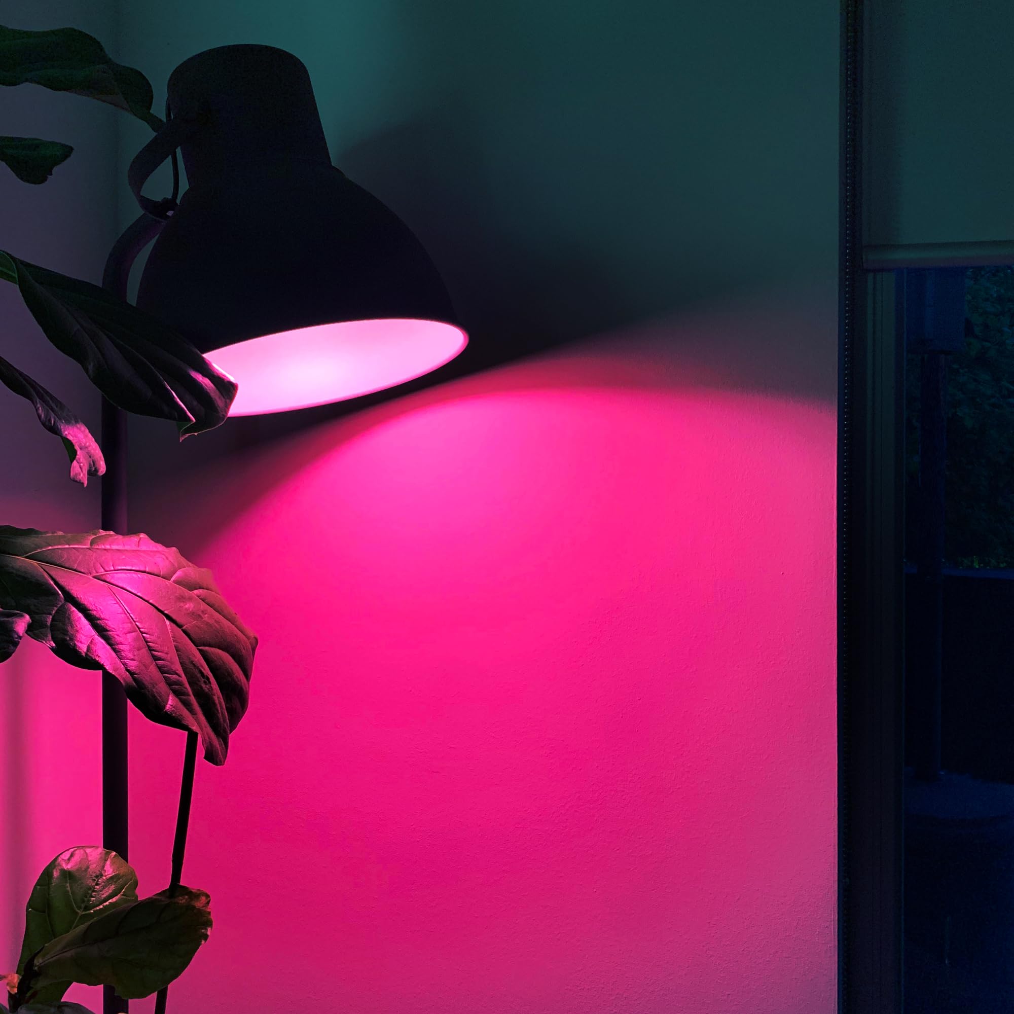 LIFX Color A21 bedroom scene for relaxing evenings