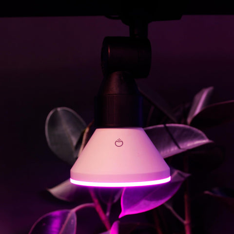 LIFX Color PAR38 IP65 weatherproof protection for outdoor use