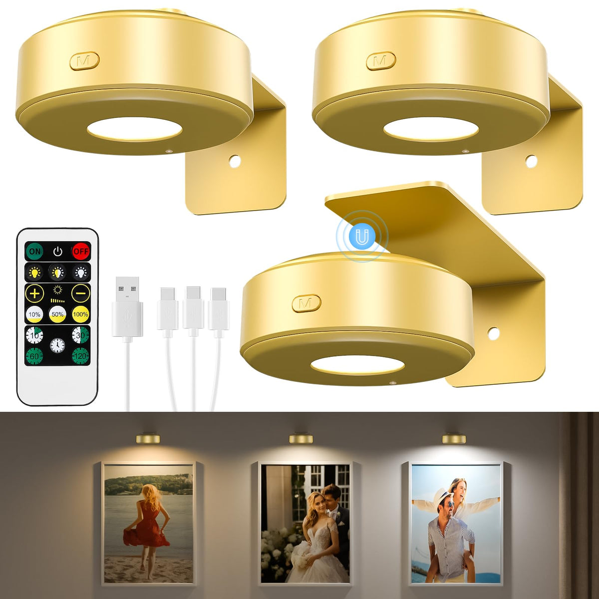 Lightbiz 3PCS picture lights illuminate artwork with even, studio-like glow on display walls.