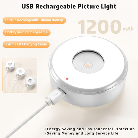 Lightbiz dimmable picture light offers flexible brightness for displays.