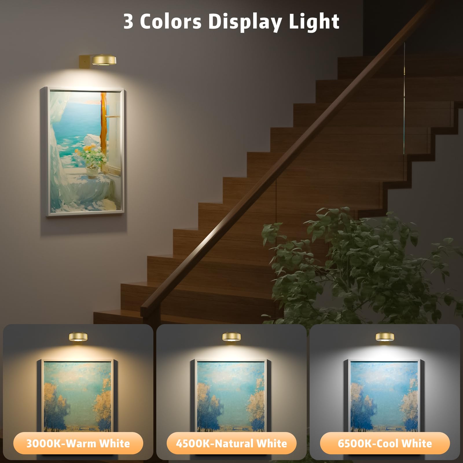 Lightbiz 6000K cool white temperature for crisp detail illumination