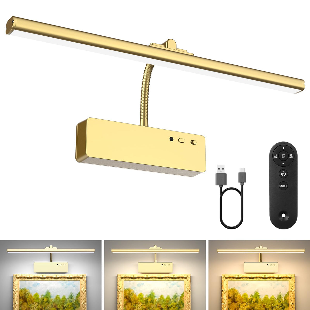 Lightbiz picture light with remote control brightens framed art evenly.