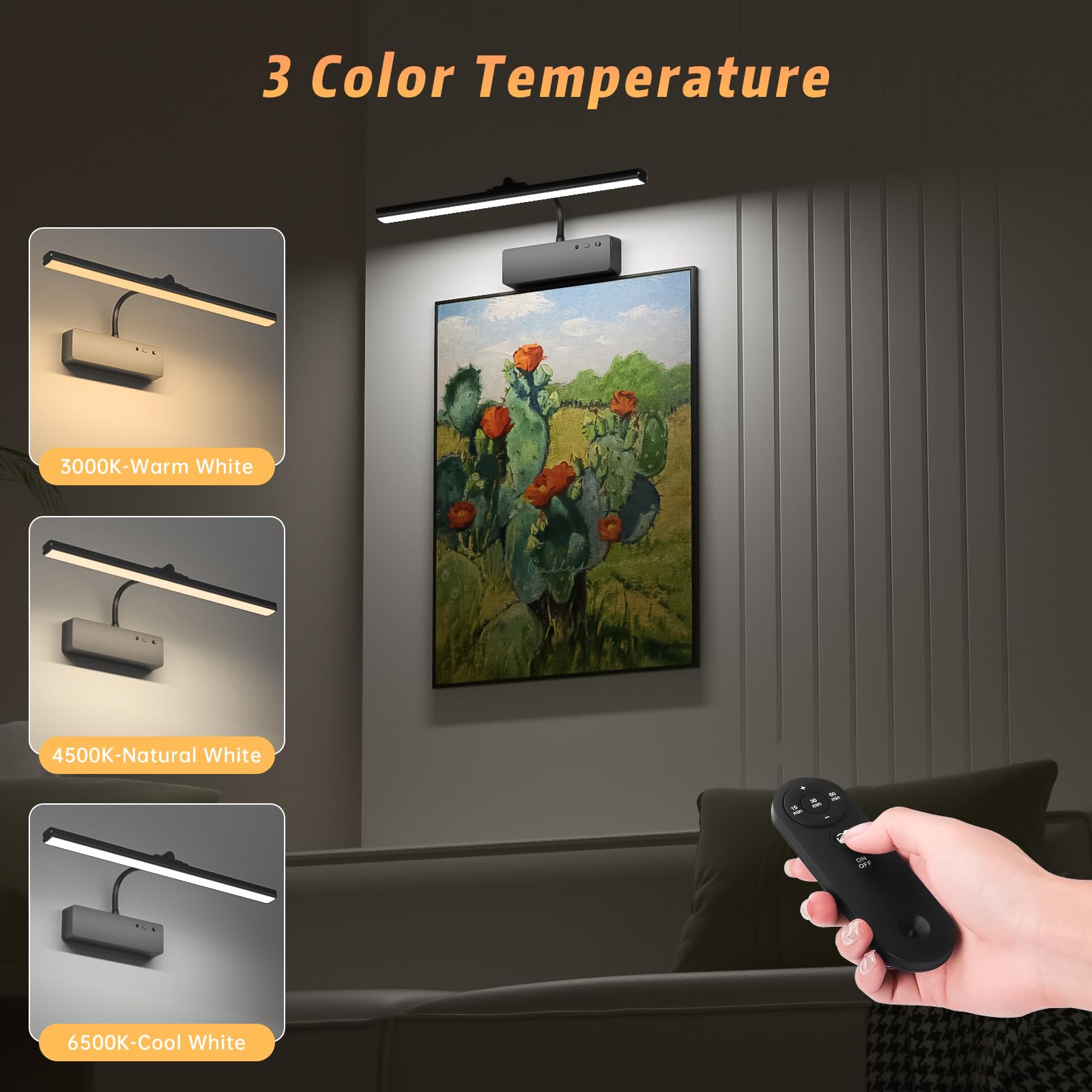 Lightbiz remote with timer helps conserve battery life
