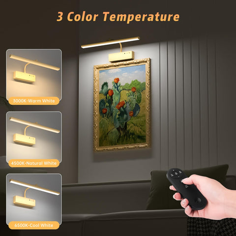 Lightbiz remote timer enables auto-off to preserve battery.