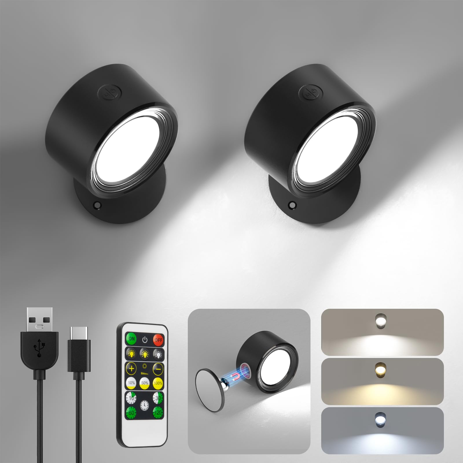 Lightbiz portable removable light suitable as emergency or take-anywhere lighting
