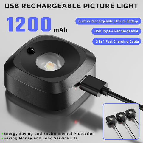 Lightbiz three-color temperatures 3000K-6000K adapt mood for artwork