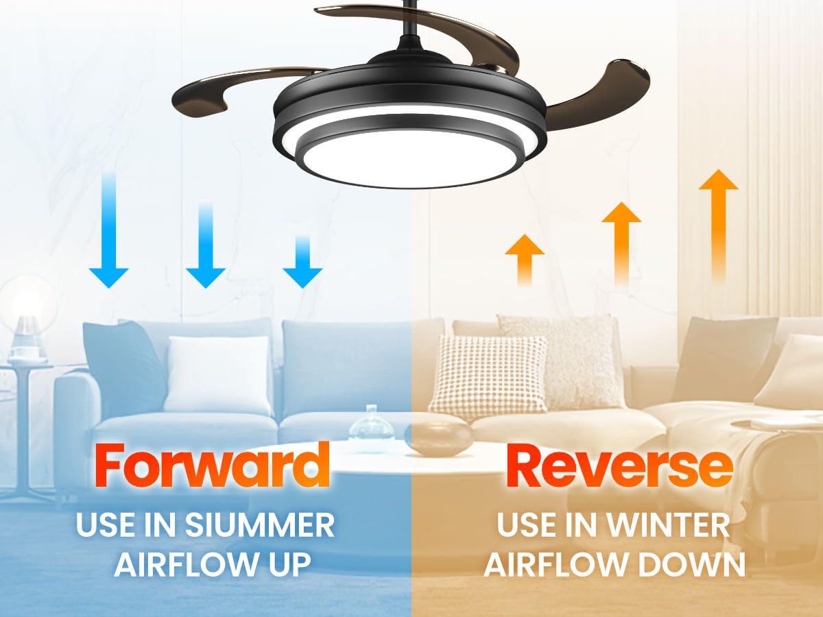 Lightimes app control enables convenient operation from your phone.