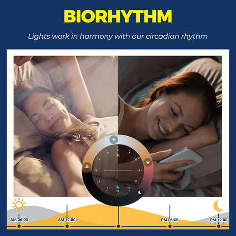Lightinginside schedule and biorhythm scenes automate lighting at will.