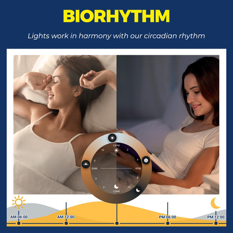 Lightinginside LED bulbs save energy while offering tunable scenes.