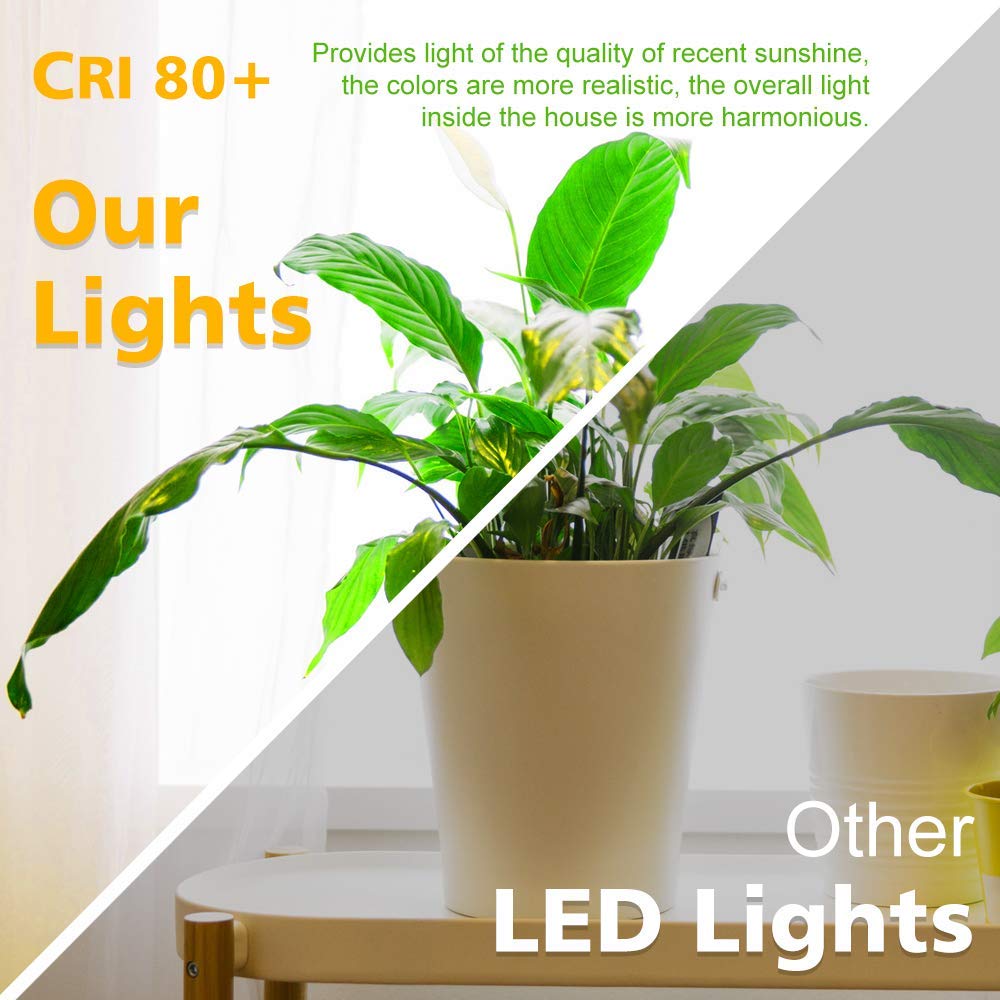 LightingWill 3W LED downlight front view highlights energy efficiency replacement for halogen.
