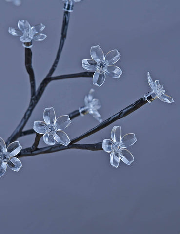 LIGHTSHARE cherry blossom LEDs create inviting indoor ambiance