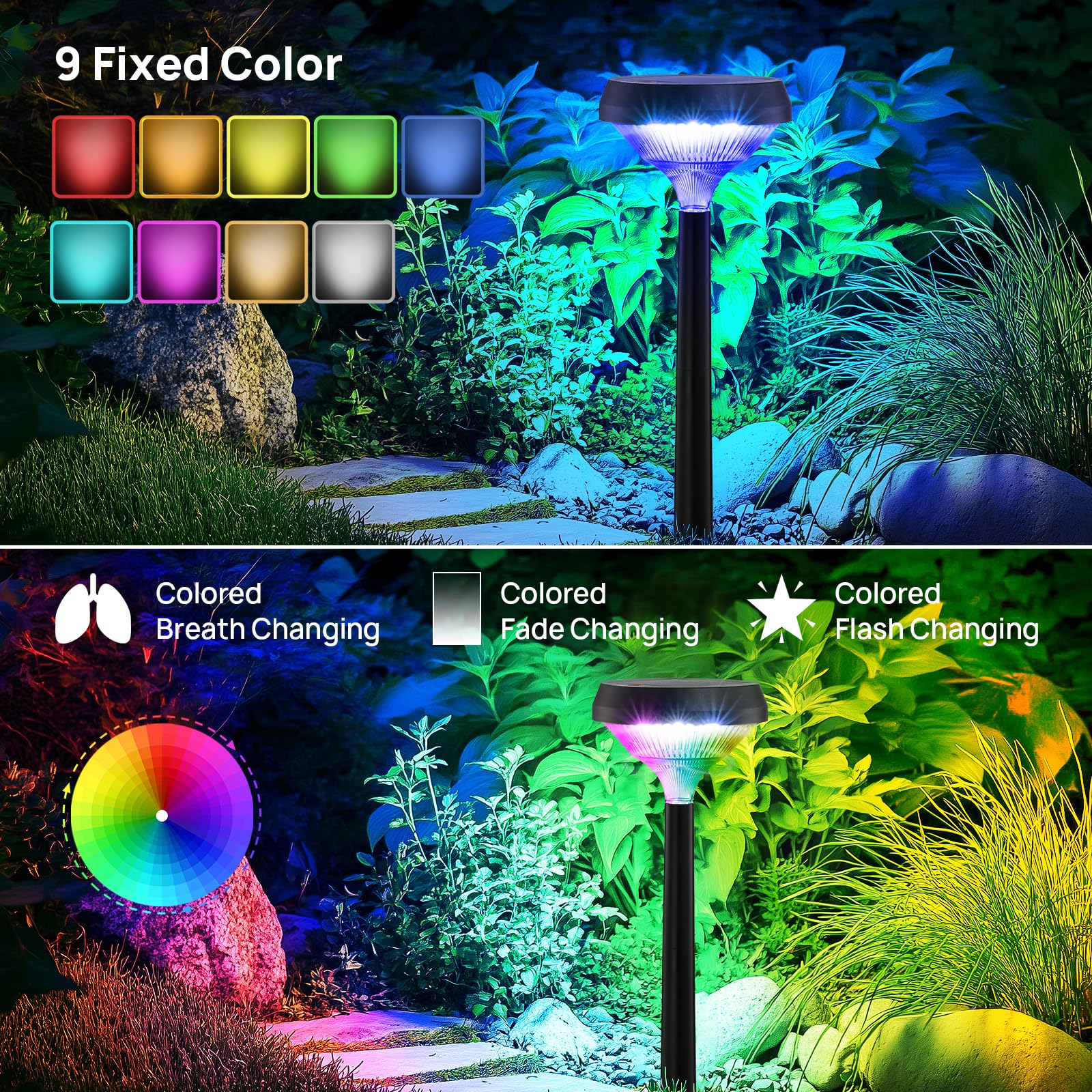 Linkind color-changing pathway lights offer vibrant RGB and soothing whites for mood lighting.