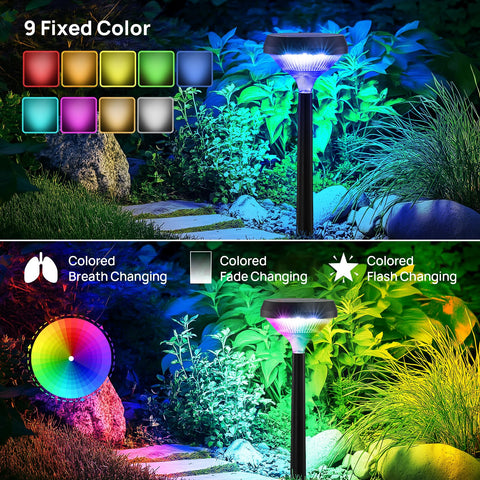 Linkind color-changing pathway lights offer vibrant RGB and soothing whites for mood lighting.