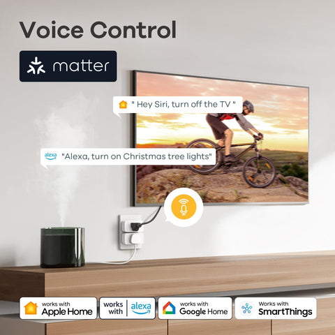Linkind Matter Smart Plug 6-pack voice control scenario with smart speaker